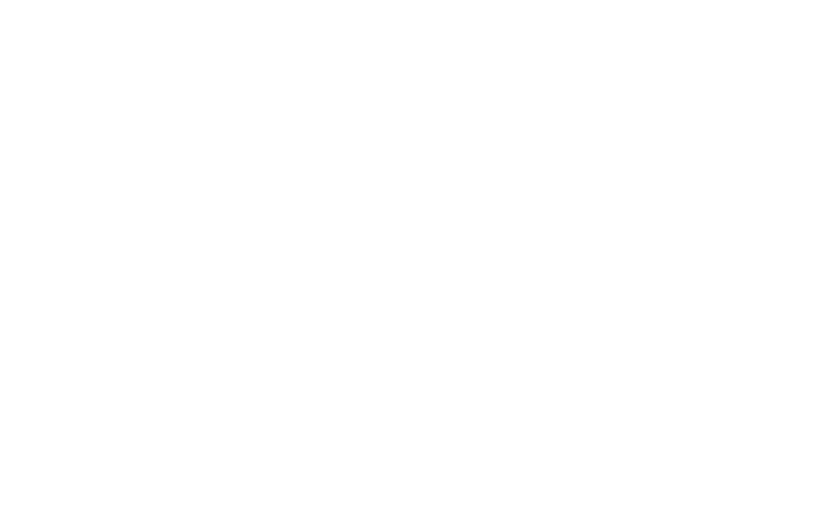 IRIS logo