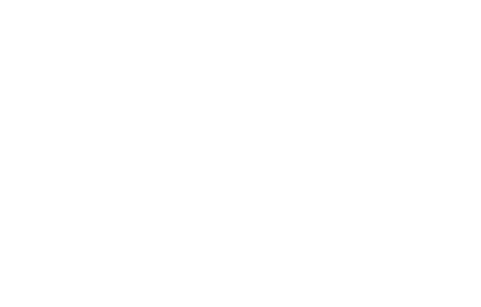 IRIS logo